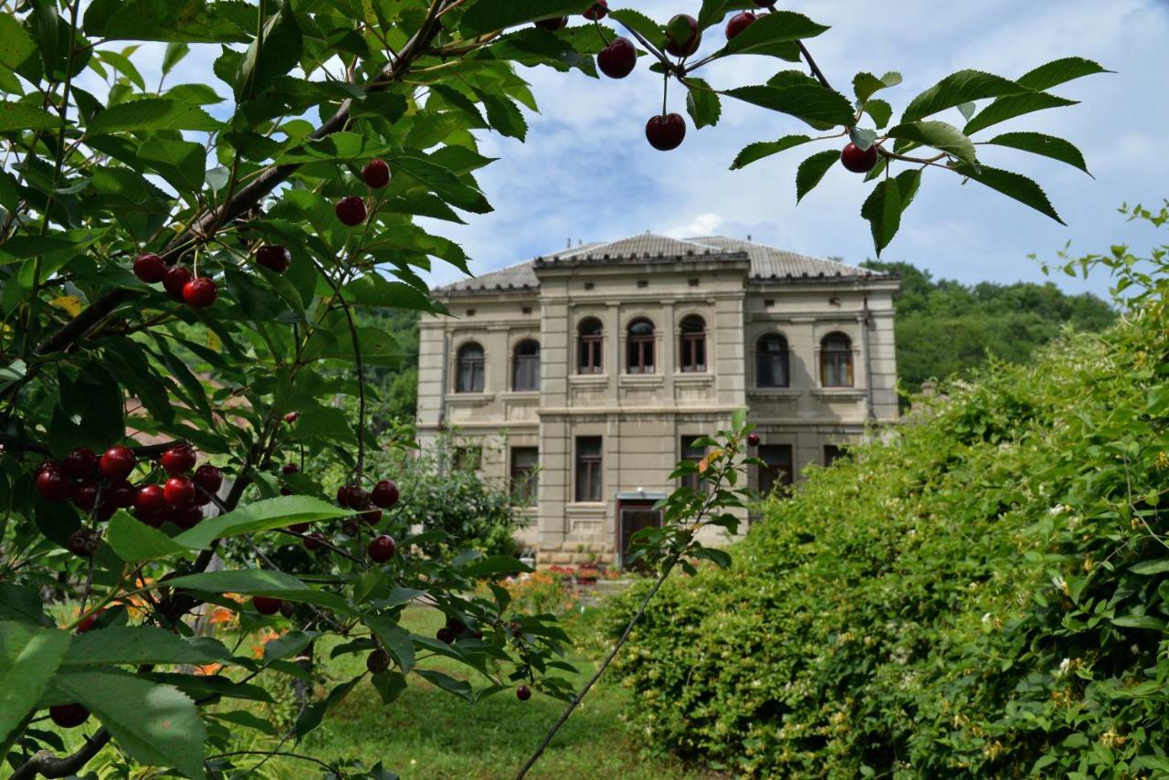 Country House Dunjin Konak Rogljevo Exterior foto